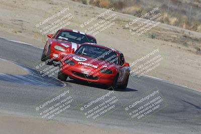 media/Nov-04-2023-CalClub SCCA (Sat) [[cb7353a443]]/Group 3/Cotton Corners (Race)/